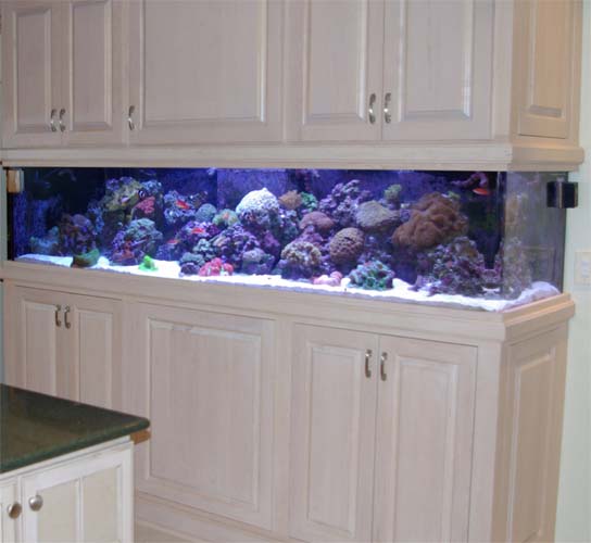 Custom fish tank and cabinet